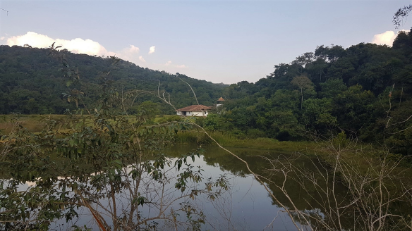 fauna-flora-sao-roque